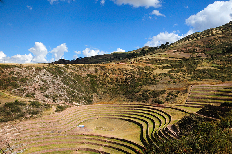 Moray agricultural terraces Sacred Valley Peru Llama Travel
