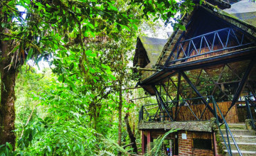 Bellavista Cloud Forest Reserve & Lodge, Ecuador