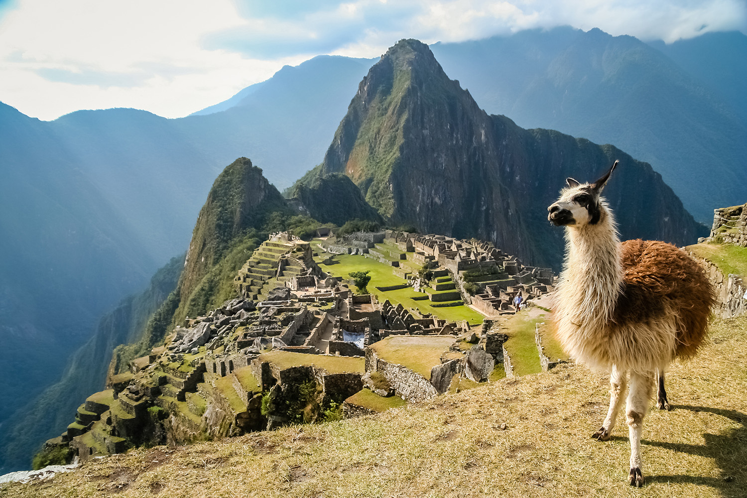 Machu Picchu 4