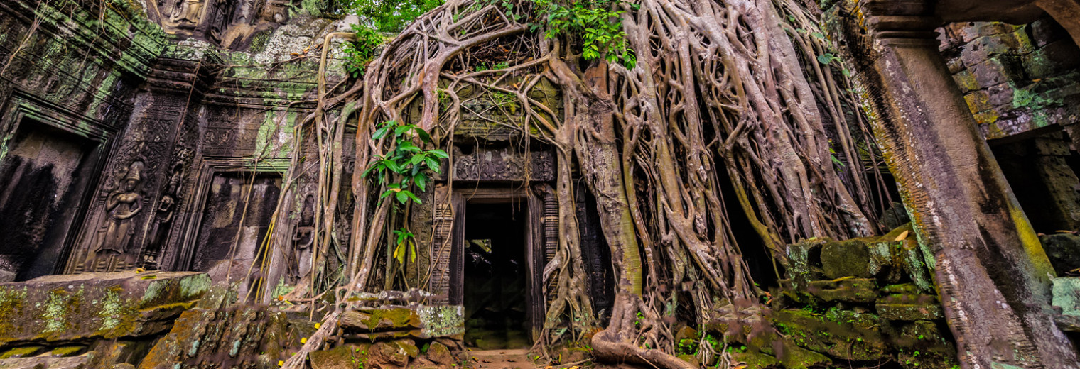 Ta Prohm Temple, Angkor