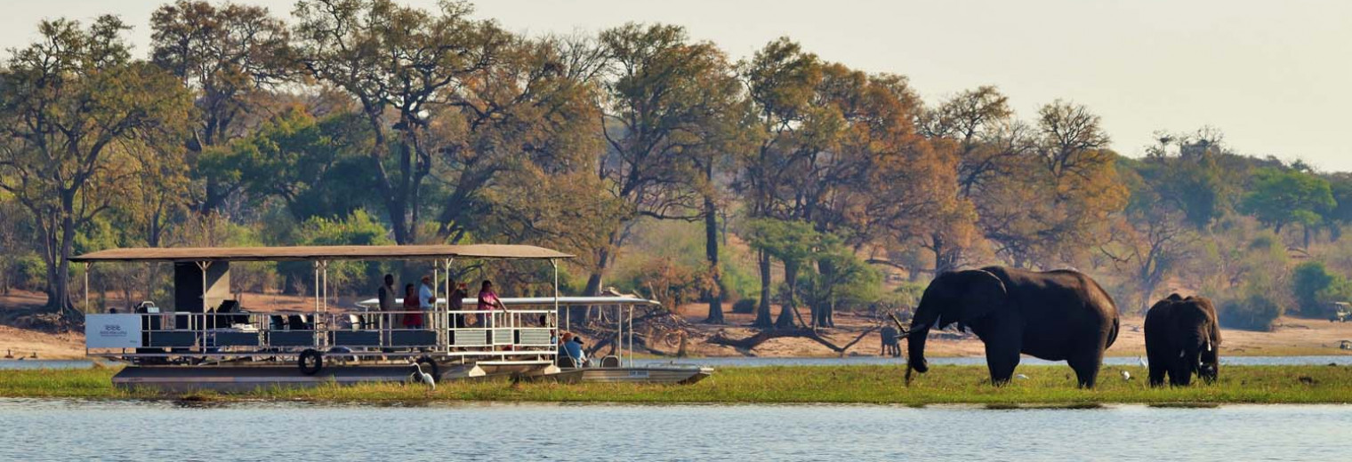 Boat trip, River View Lodge, Kasane, Botswana