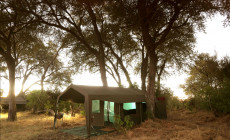 Tent, Letaka Mobile Tented Camp