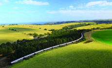 Green Hills, Rovos Rail, South Africa