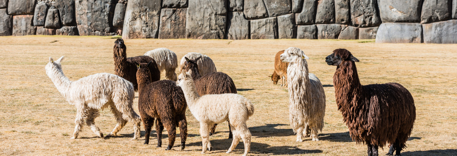 Saqsaywaman, Cusco