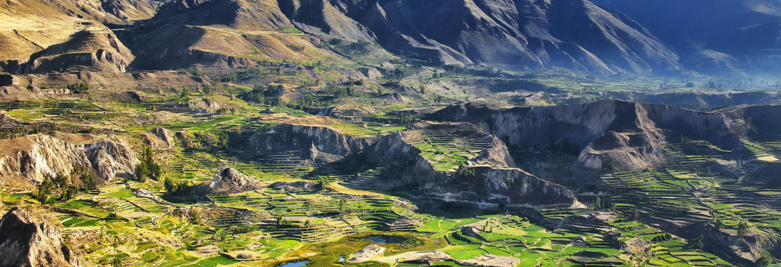 Colca Canyon, Peru