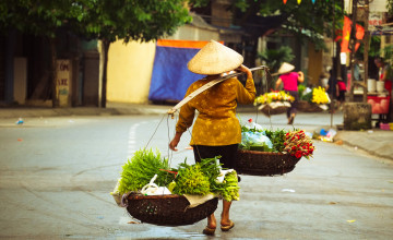 Flower Seller II Hanoi