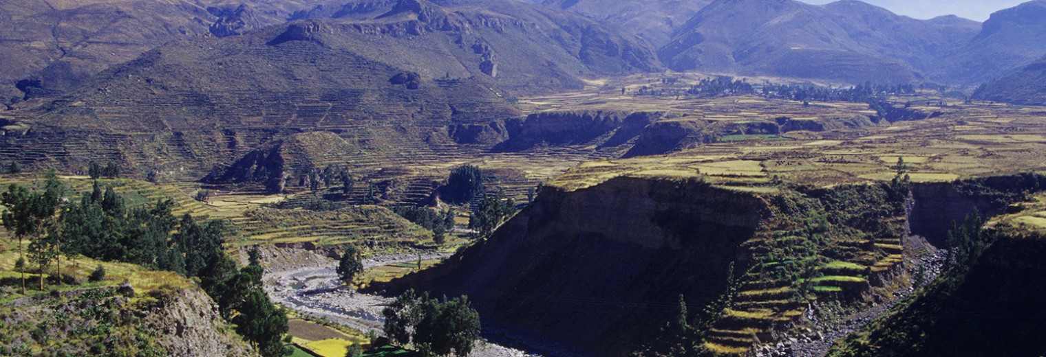 Colca Canyon, Peru