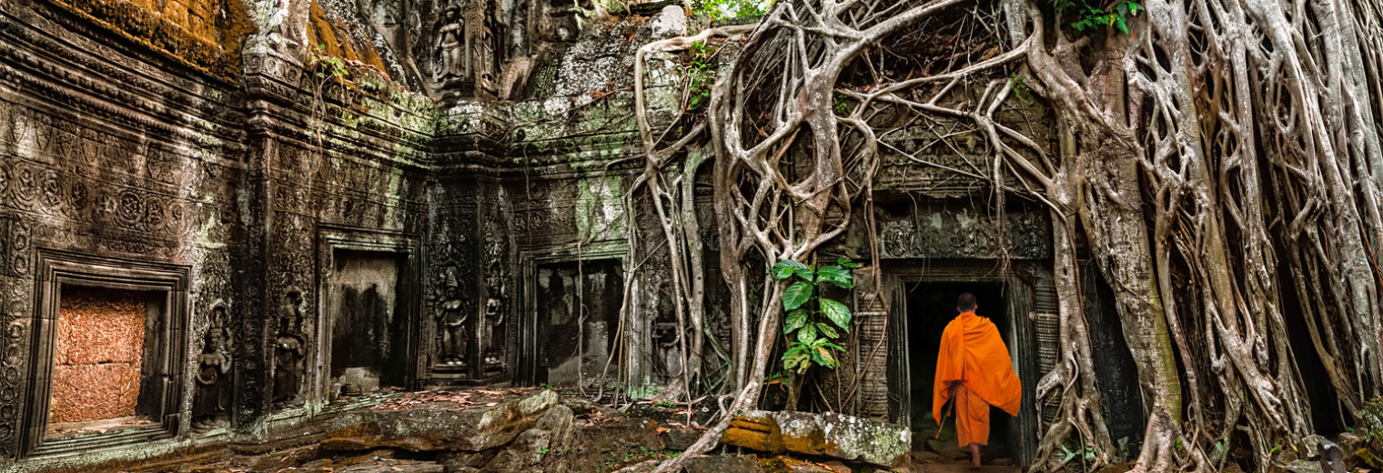 Monk in Ta Prohm, Angkor Wat