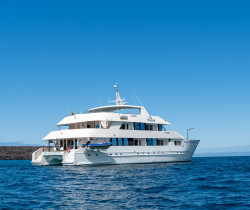 Treasure of Galapagos Cruise Treasure of Galapagos Cruise