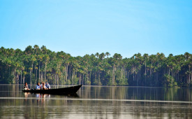 Amazon boat ride, Peru