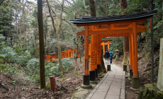 Fushimi Inari, Kyoto