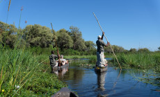 Mokoro, Okavango, Botswana