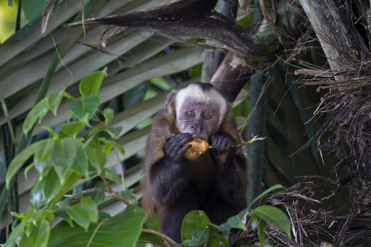 Josh&#039;s Visit to the Tambopata Research Center