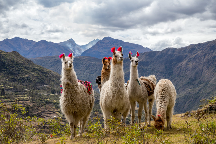 Ben&#039;s Journey: Peru