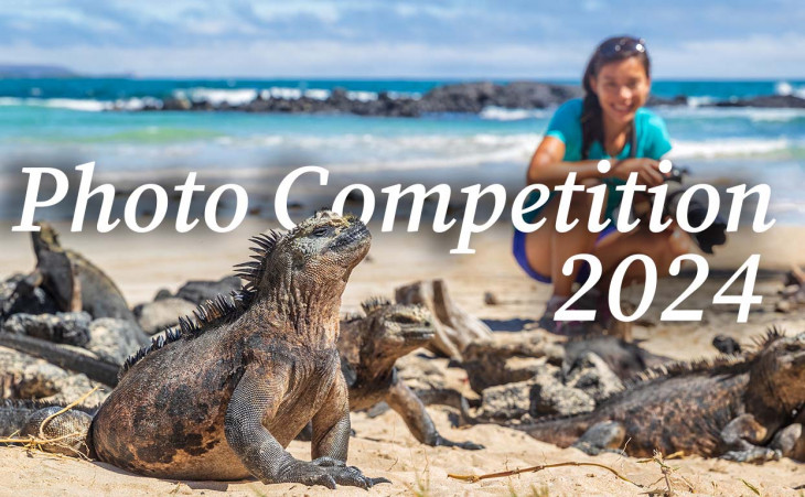 Llama Travel Photo Competition 2024